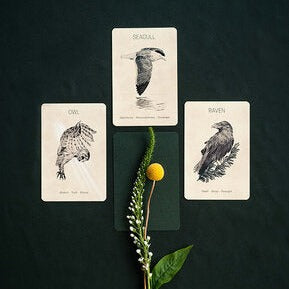 Great Bear Oracle Deck - Sarah Hammond