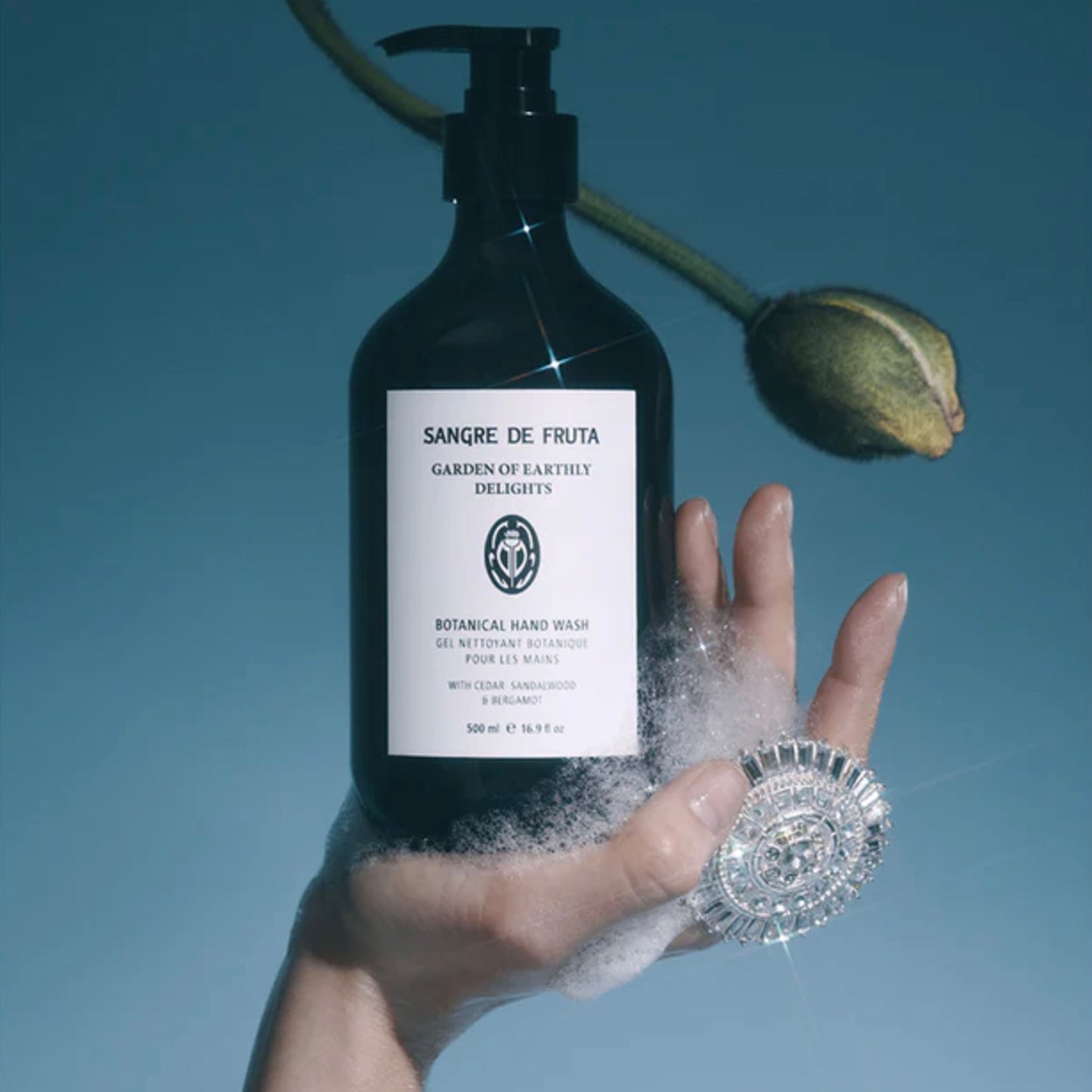 Sangre de Fruta Hand Wash