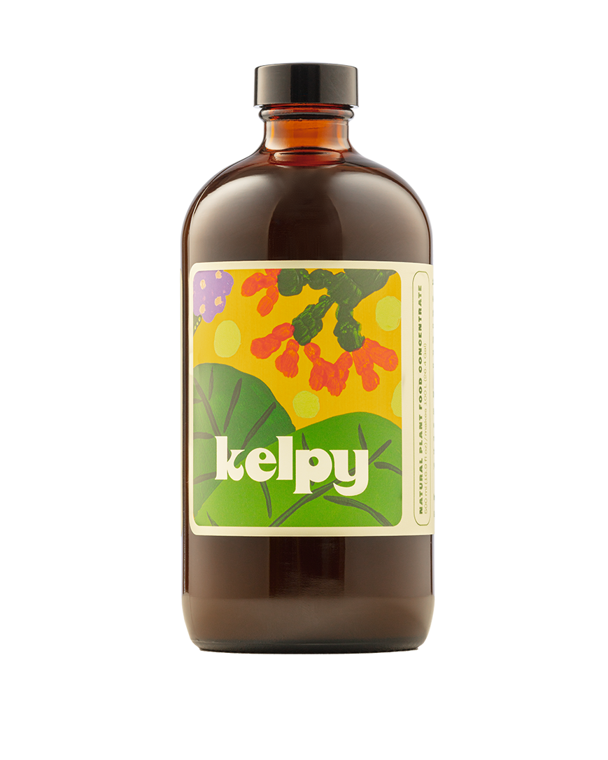 Kelpy